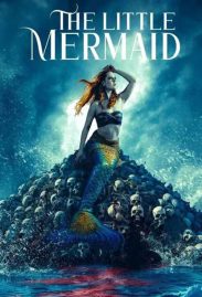 The Little Mermaid เว็บดูหนังออนไลน์ฟรี 2024